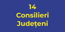 14 consilieri judeteni - PNL