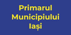 primarul municipiului iasi - PNL